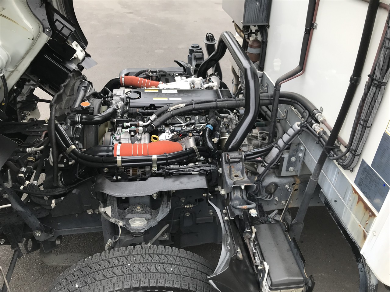 2020 Isuzu Elf